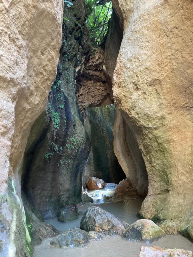 Pinos del ValleCasa Limon住宿加早餐旅馆 外观 照片