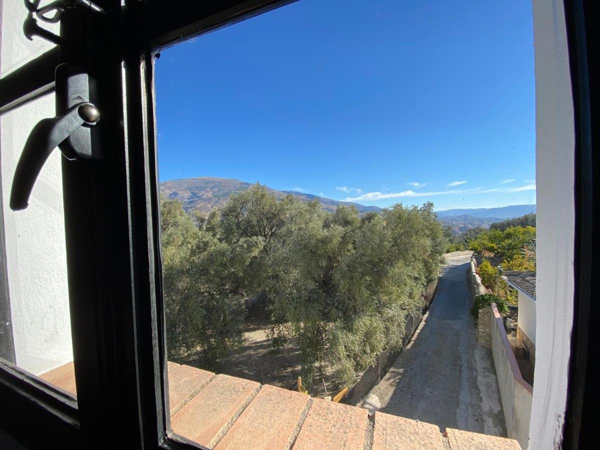 Pinos del ValleCasa Limon住宿加早餐旅馆 外观 照片