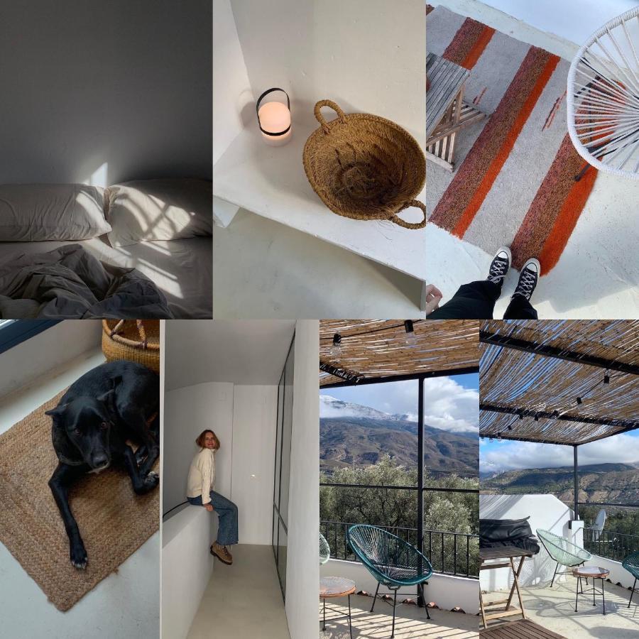 Pinos del ValleCasa Limon住宿加早餐旅馆 外观 照片